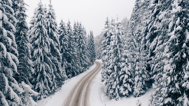 Veduta aerea di una strada di montagna curva in Europa Veduta aerea di una strada di montagna curva in Europa. Paesaggio montano invernale. Alberi innevati e pendii montuosi. Vista drone.Europa.