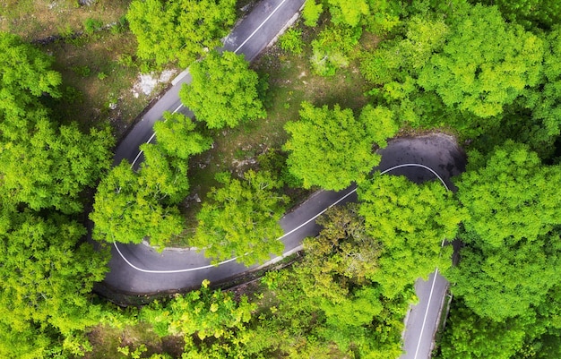 Veduta aerea su strada nella foresta Autostrada attraverso la foresta Vista da un drone Paesaggio naturale in estate dall'aria Immagine di viaggio