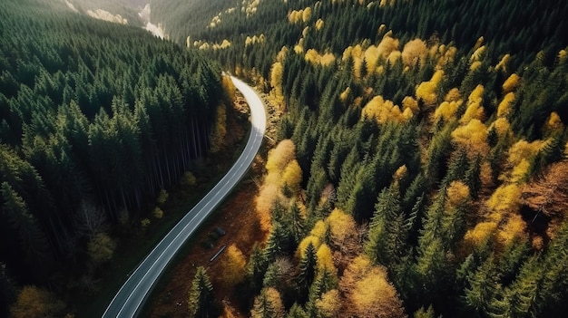 Veduta aerea sulla strada forestale Illustrazione AI generativa