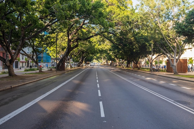 Veduta del viale principale nel centro di Malaga