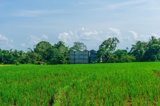 Veduta dell'uso del suolo agricolo e delle costruzioni moderne