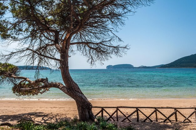 Veduta di Capo Caccia dalla spiaggia di Mugoni