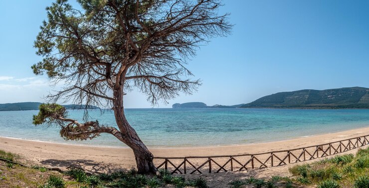 Veduta di Capo Caccia dalla spiaggia di Mugoni