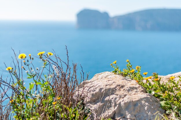 Veduta di Capo Caccia in una soleggiata giornata primaverile