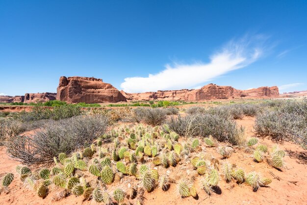 Veduta di formazioni rocciose nel deserto contro il cielo blu