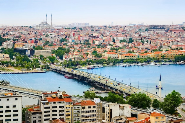 Veduta di Istanbul dalla Torre di Galata