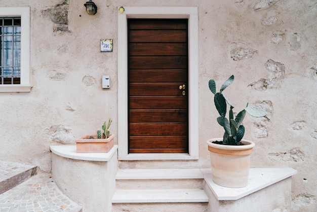 Veduta di piante che crescono sul muro