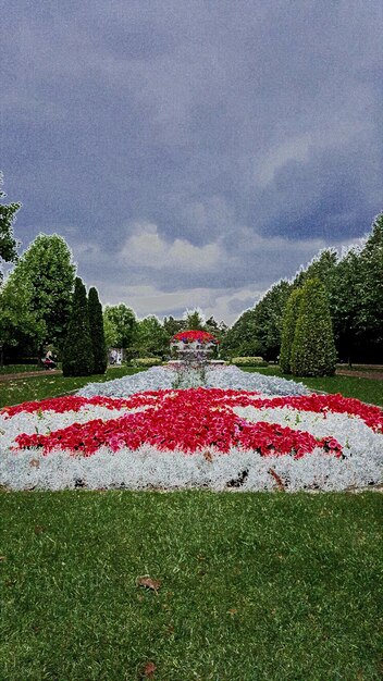 Veduta di un giardino formale con alberi contro le nuvole