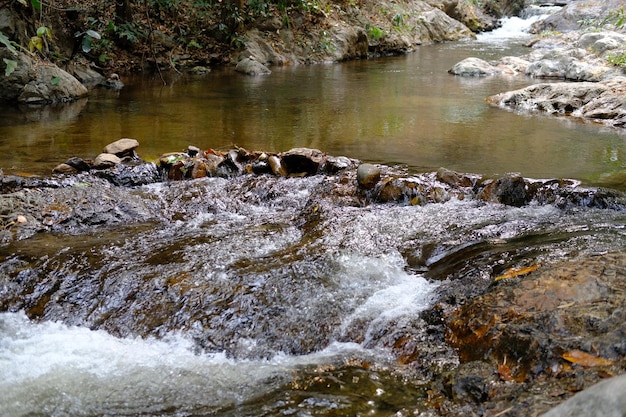 Veduta di un ruscello che scorre tra le rocce