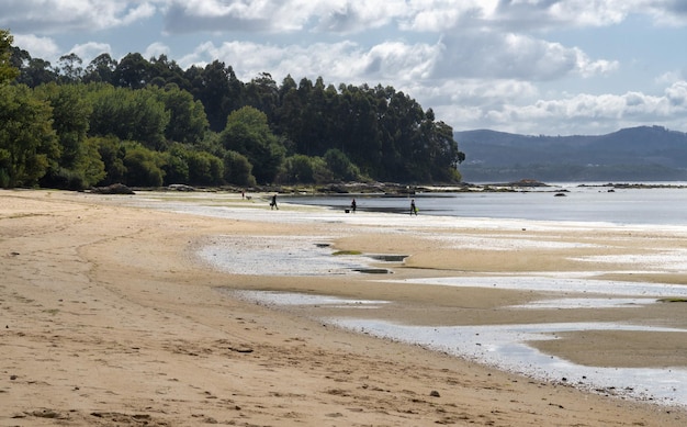 Veduta generale di una spiaggia a Boiro Pontevedra Sullo sfondo una donna che gioca con due cani e un mollusco e due molluschiere che si dirigono verso l'acqua per raccogliere i molluschi