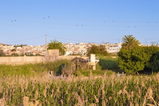 Vega Baja del Segura -Benijofar - Distintos lugares de este municipio de Alicante