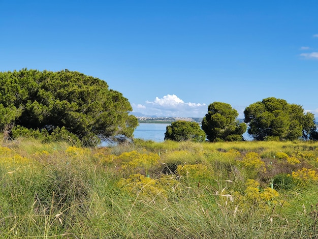 Vega Baja del Segura El lago azul del Parque Natural de las Lagunas de La Mata e Torrevieja