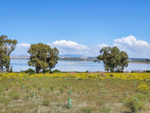 Vega Baja del Segura El lago azul del Parque Natural de las Lagunas de La Mata e Torrevieja