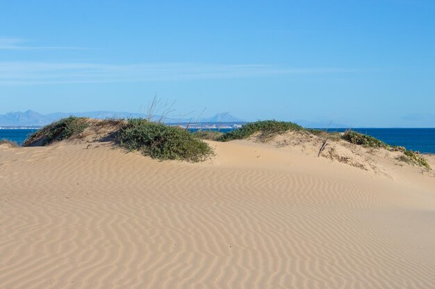 Vega Baja del Segura Guardamar del Segura Paisaje de dunas junto al mar