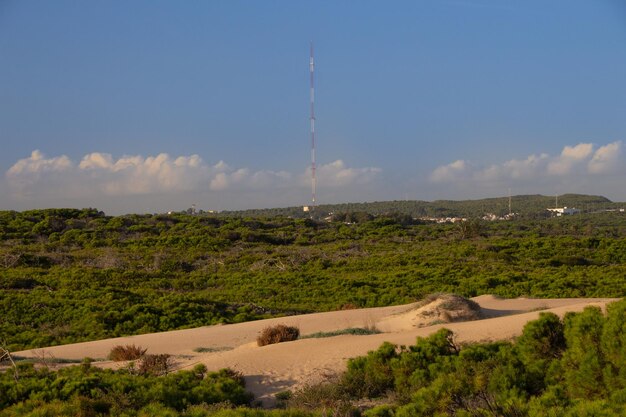 Vega Baja del Segura - Guardamar - Dunas y pinada en Guardamar del Segura