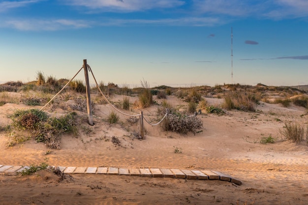 Vega Baja del Segura Guardamar Paesaggio delle dune di Guardamar del Segura