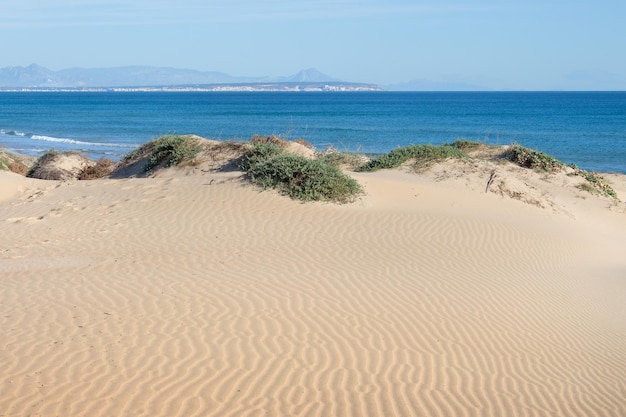 Vega Baja del Segura Guardamar Paesaggio delle dune di Guardamar del Segura