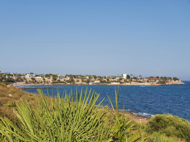 Vega Baja del Segura Orihuela Costa Playas de Orihuela