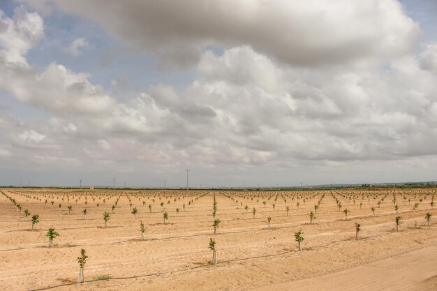 Vega Baja del Segura Orihuela Paisajes de la sierra la Huerta e sus detalles