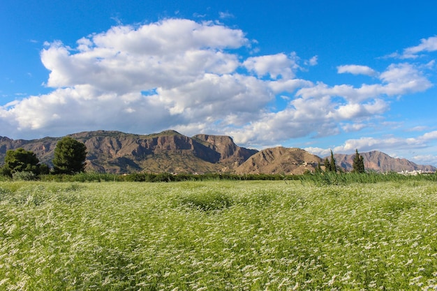 Vega Baja del Segura - Orihuela - Paisajes en la Huerta de la Vega Baja