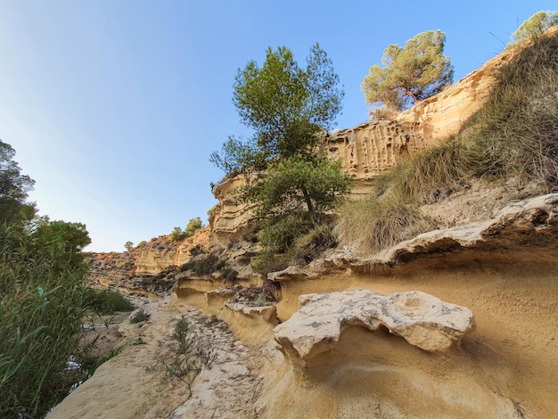 Vega Baja del Segura Pilar de la Horadada Rio Seco