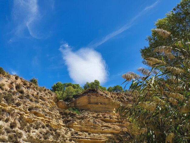 Vega Baja del Segura Pilar de la Horadada Rio Seco