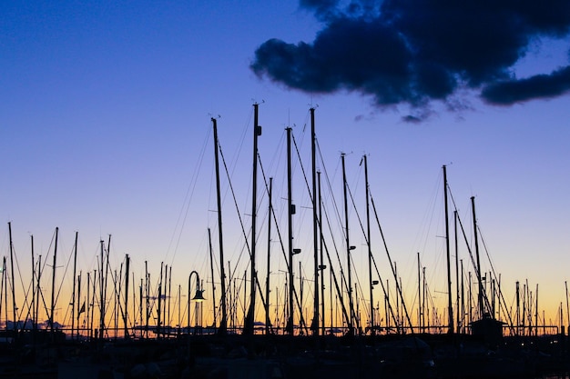 Vega Baja del Segura Puerto de Torrevieja