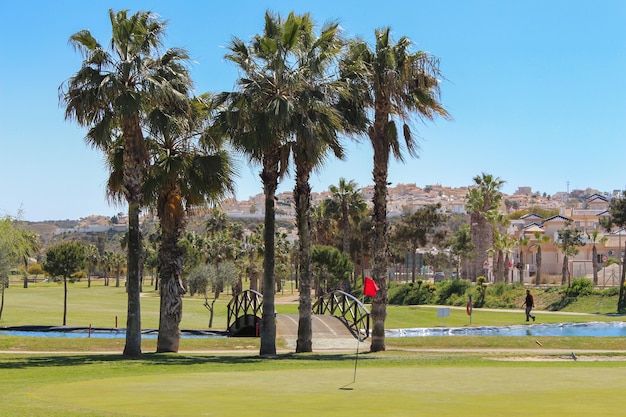 Vega Baja del Segura Rojales Paisajes y golf