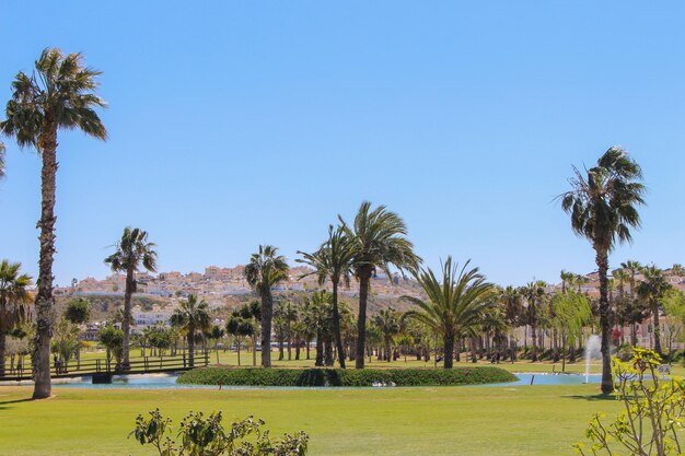 Vega Baja del Segura Rojales Paisajes y golf