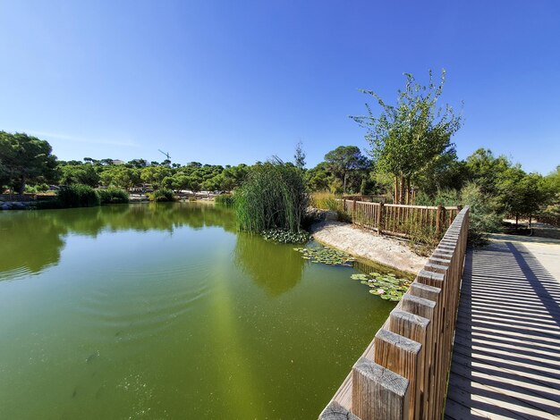 Vega Baja del Segura Rojales Parque el Recorral