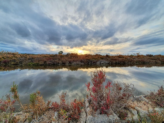 Vega Baja del Segura - Salinas de Torrevieja - La Laguna Salada y su entorno, un paisaje unico