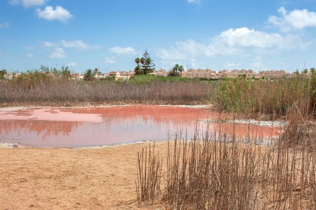 Vega Baja del Segura - Salinas de Torrevieja - La Laguna Salada y su entorno, un paisaje unico