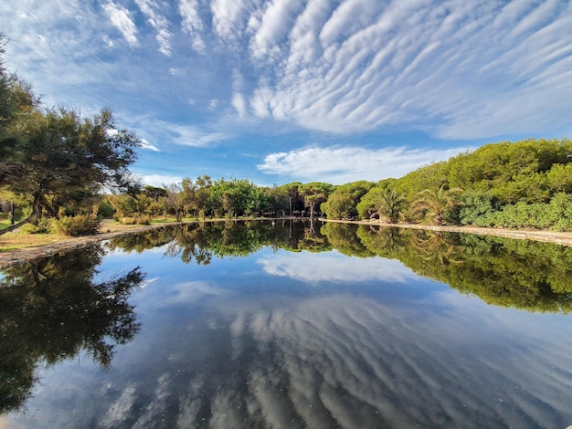 Vega Baja del Segura Torrevieja La Mata Parque del Molino del Agua