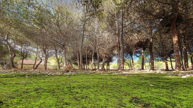 Vega Baja del Segura Torrevieja La Mata Parque del Molino del Agua