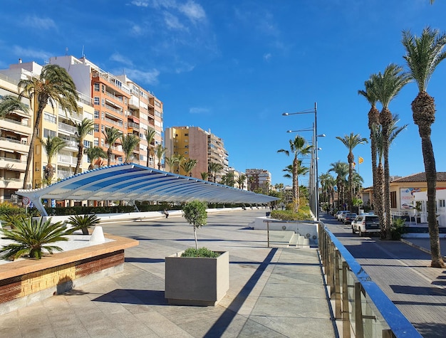 Vega Baja del Segura - Torrevieja - Paseo Vistalegre