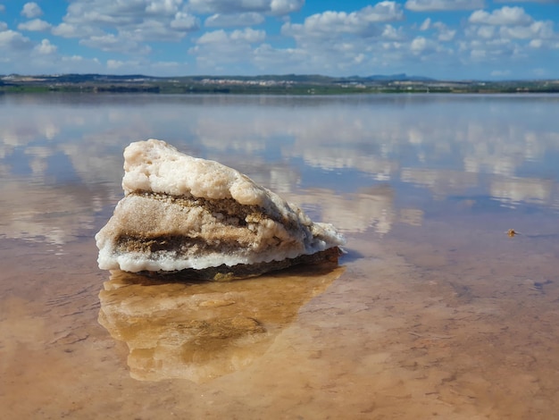 Vega Baja del Segura Torrevieja Salinas y laguna rosa y salada