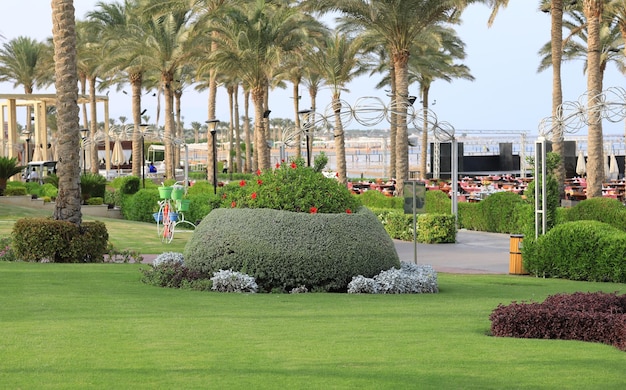 vegetazione tropicale in un hotel di villeggiatura estiva