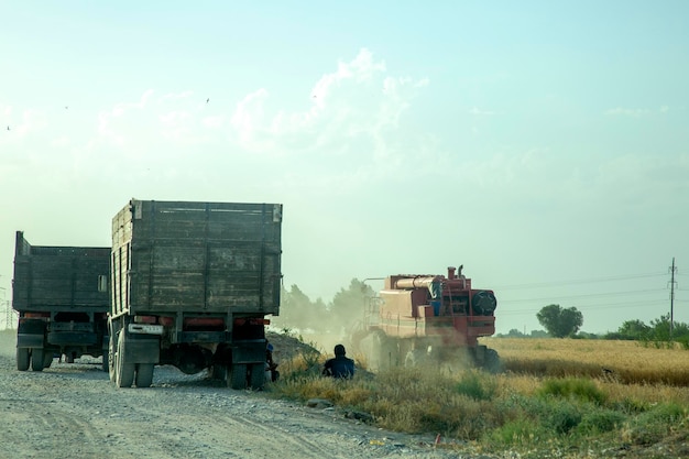 Veicoli pesanti nei campi agricoli