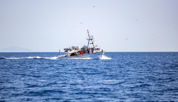 Vela in barca da pesca nel Mar Egeo sciame di gabbiani seguire per il cibo Cicladi Grecia