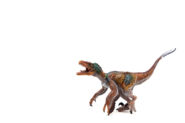 Velociraptor piumato