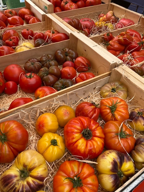 Vendi pomodori assortimento in una piazza del mercato, estate Francia