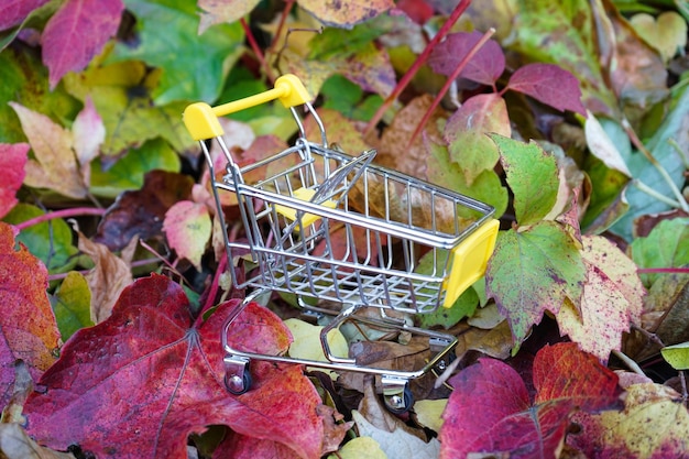 Vendita autunnale Carrello mini supermercato sulla mano di una giovane donna sullo sfondo delle foglie autunnali