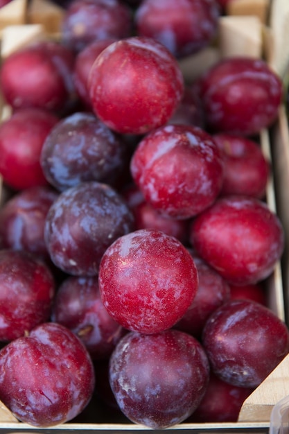 vendita, raccolto, cibo, frutta e concetto di agricoltura - primo piano di prugne satsuma in scatola al mercato di strada