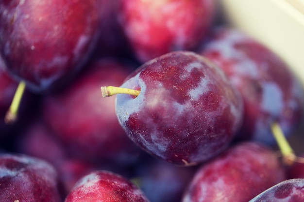 vendita, raccolto, cibo, frutta e concetto di agricoltura - primo piano di prugne satsuma in scatola al mercato di strada