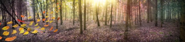 Vento che soffia foglie gialle in un'atmosfera mistica oscura banner web panoramico del parco autunnale