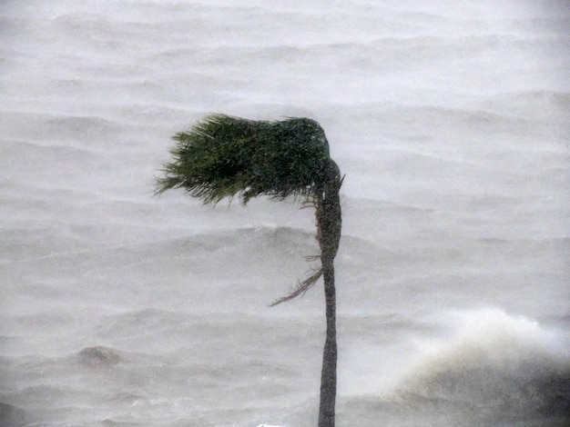 Vento forte durante gli effetti dell'uragano Norma ottobre 2023 La Paz Baja California Sur
