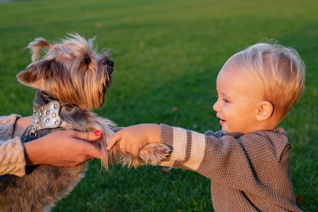 Vera amicizia. Migliori amici per sempre. Infanzia felice. Dolci ricordi d'infanzia. Gioco da bambini con il cane dell'Yorkshire terrier. Il ragazzo del bambino gode del tempo libero con l'amico del cane. Piccolo bambino passeggia con il cane