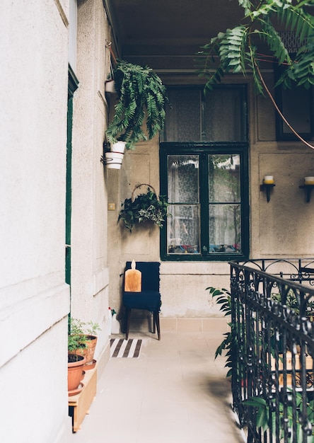 Veranda di dettagli vintage con finestra verde vecchia casa e pla casa