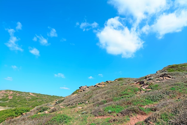 Verde collina sotto un cielo blu a Porticciolo Sardegna