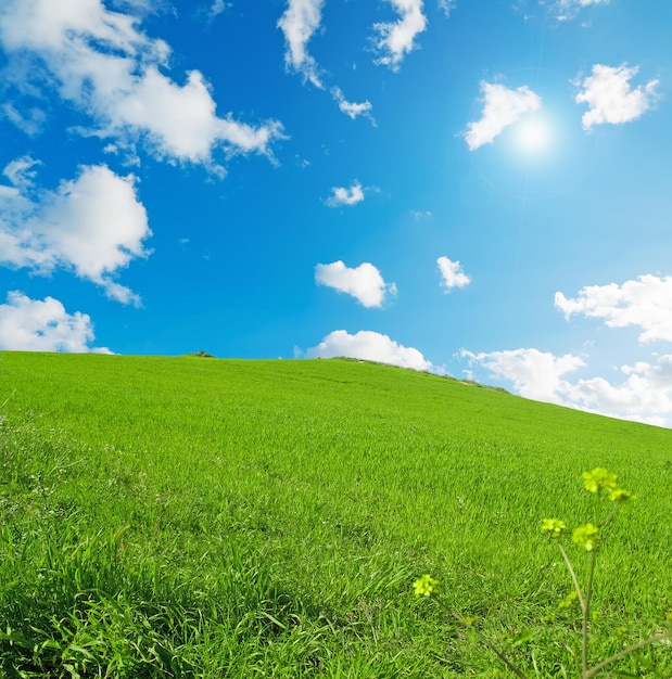 Verde collina sotto un cielo blu in Sardegna Italia